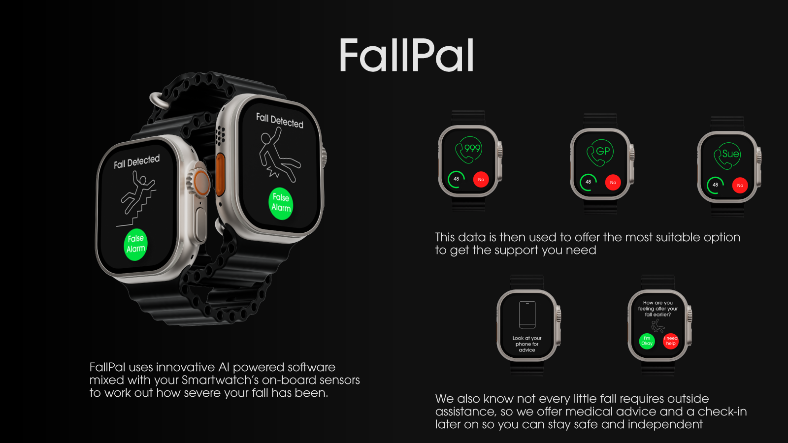 An advertisement style visual asset used to show aspects of the FallPal app at the design Critique